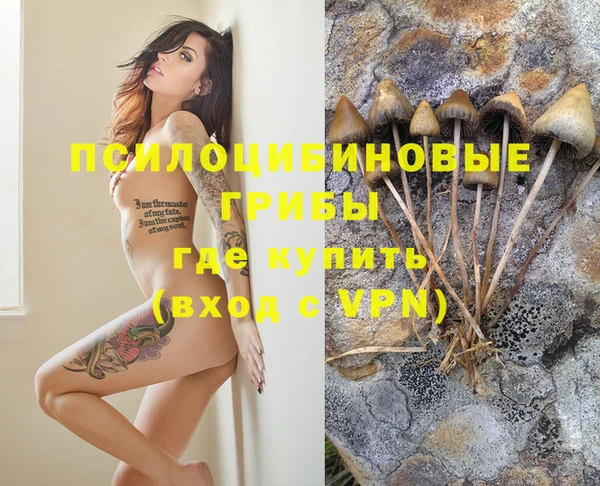 а пвп мука Абдулино