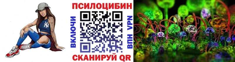 Галлюциногенные грибы Psilocybine cubensis Моздок
