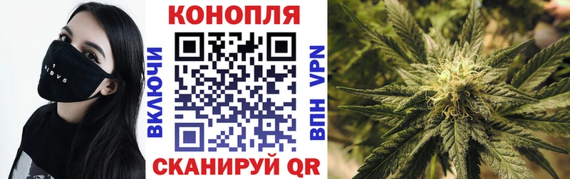 Бошки марихуана AK-47 Моздок